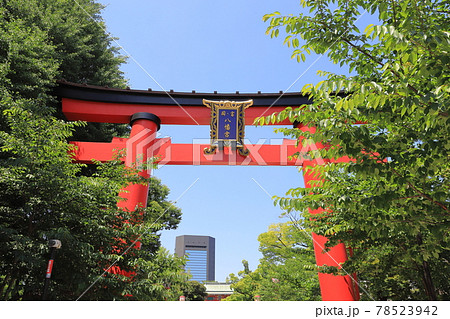 富岡八幡宮(東京都江東区) 大鳥居 富岡八幡宮(東京都江東区) 大鳥居 78523942