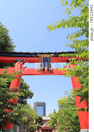 富岡八幡宮（東京都江東区）　大鳥居　　　 78523945