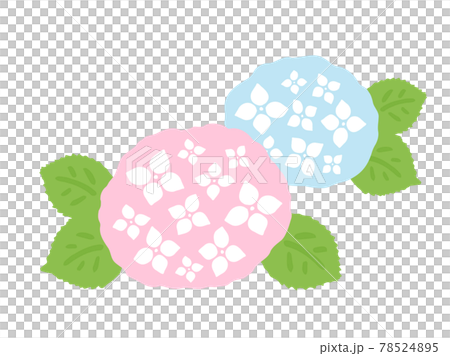 かわいい紫陽花 アジサイ 夏 梅雨 手書きイラストのイラスト素材