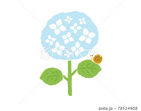 かわいい紫陽花とかたつむり アジサイ 夏 梅雨 手書きイラストのイラスト素材