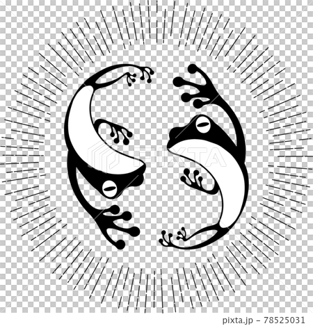 成對的青蛙 78525031