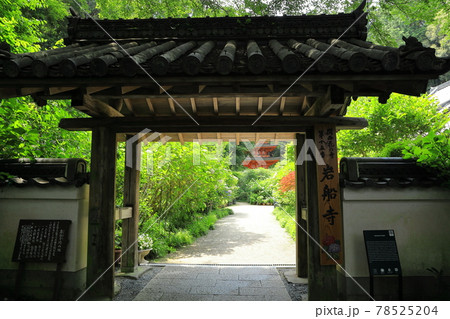 関西花の寺　京都・岩船寺　山門 78525204
