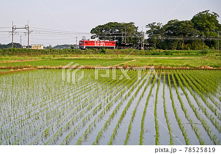 鉄道 JR東日本:東北本線 EF81-95 鉄道 JR東日本:東北本線 EF81-95 78525819