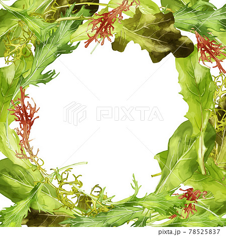 水彩のベビーリーフイラストの囲み円フレーム 78525837
