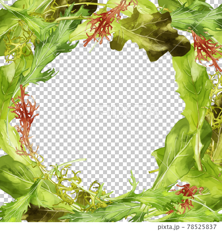 水彩のベビーリーフイラストの囲み円フレーム 78525837