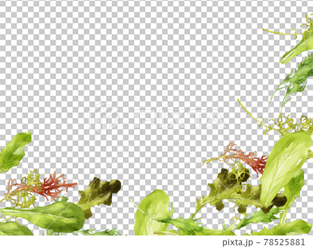 水彩のベビーリーフイラストの右下フレーム 水彩のベビーリーフイラストの右下フレーム 78525881