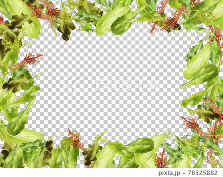 Rectangular frame with watercolor baby leaf illustration 78525882