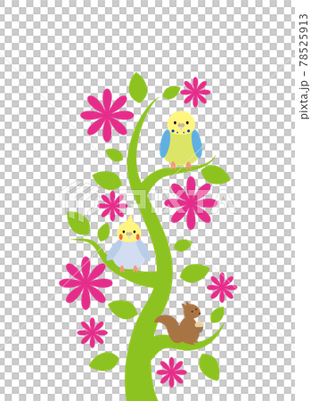 Parakeet and squirrel on tree 78525913