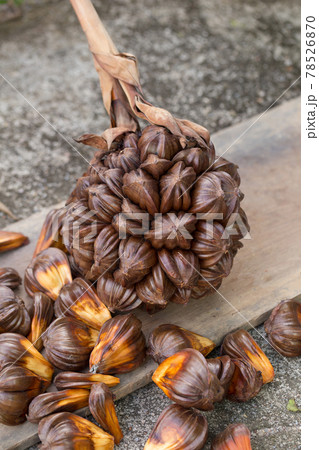 nypa palm fruit in Thailand, close up of nypa seed in nature nypa palm fruit in Thailand, close up of nypa seed in nature 78526870