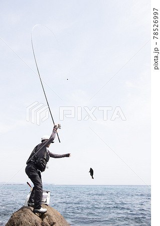 魚釣りでメジナを釣り上げた男性 魚釣りでメジナを釣り上げた男性 78526997