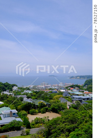 神奈川県逗子市の披露山公園 神奈川県逗子市の披露山公園 78527150
