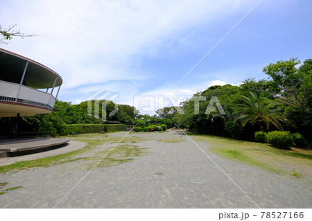 神奈川県逗子市の披露山公園 神奈川県逗子市の披露山公園 78527166