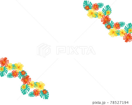 モンステラと元気な夏カラーのお花フレーム 78527194
