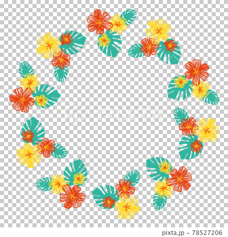 花框與龜背竹和歡快的夏日色彩 78527206