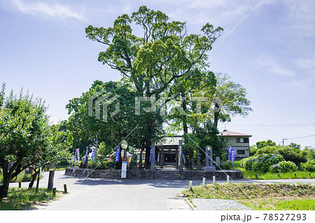 坂本八幡宮　太宰府市 78527293