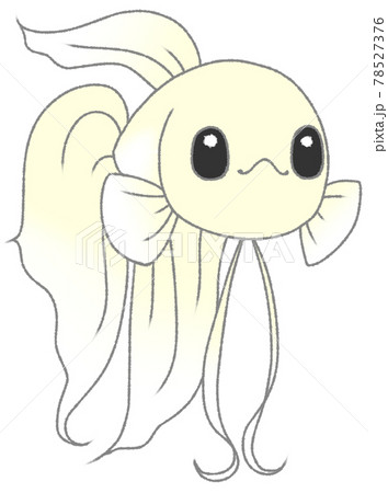 キラキラした瞳でこちらを見るベタ（白色） 78527376