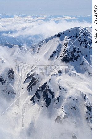 春めく山の斜面 78528085