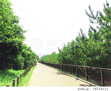 三苫塩浜海岸の遊歩道［斜め］ 78528123