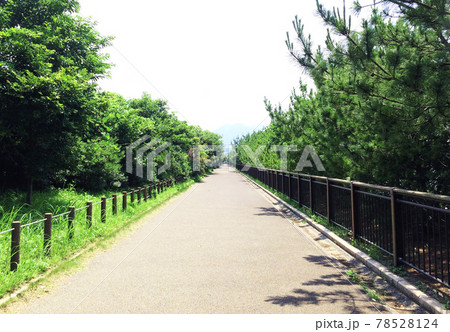 三苫塩浜海岸の遊歩道［横型］ 78528124