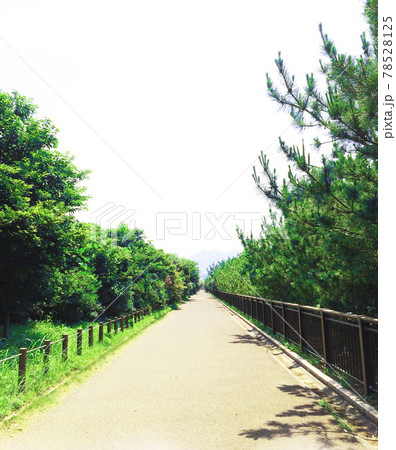 三苫塩浜海岸の遊歩道［縦型］ 78528125