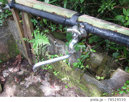 屋外にある水道の蛇口 屋外にある水道の蛇口 78529550