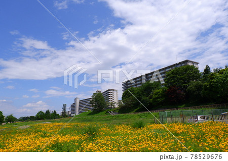花々と団地 花々と団地 78529676