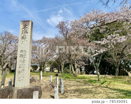 磯部桜川公園 78530091
