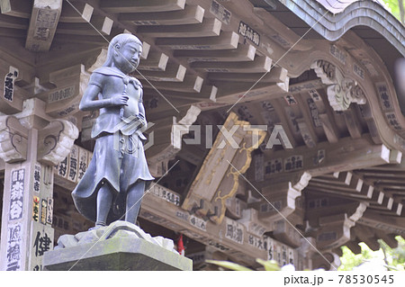 高尾山薬王院　神変堂（神変大菩薩） 78530545