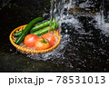 野菜を水で冷やすシーン 78531013