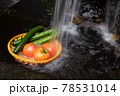 野菜を水で冷やすシーン 78531014