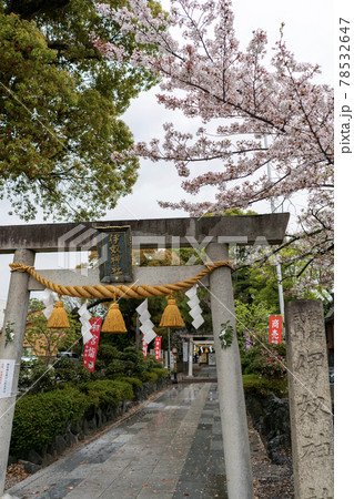 伊奴神社 名古屋市 伊奴神社 名古屋市 78532647