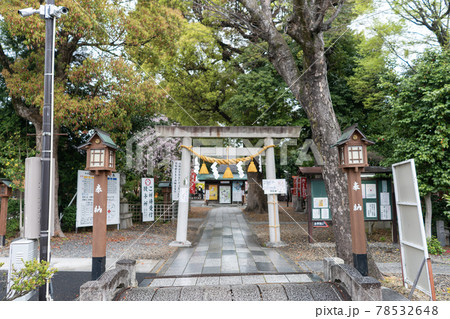 伊奴神社 名古屋市 伊奴神社 名古屋市 78532648