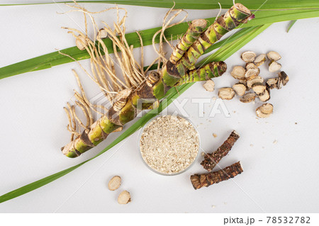 Fresh and dried Acorus calamus roots, also known as sweet flag, calamus leaves and powder isolated on light background. Fresh and dried Acorus calamus roots, also known as sweet flag, calamus leaves and powder isolated on light background. 78532782