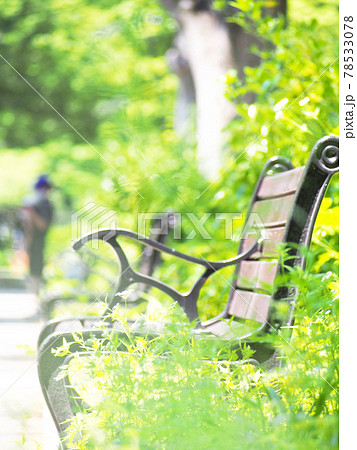 公園のベンチ 78533078