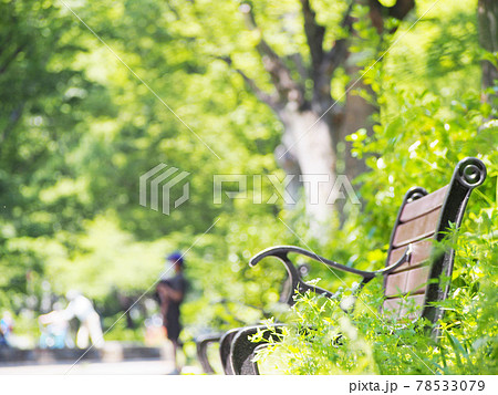 公園のベンチ 78533079