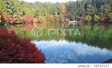 青空が映る揺れる湖面と紅葉 青空が映る揺れる湖面と紅葉 78534137