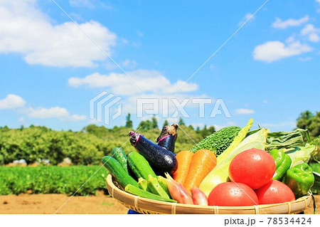 夏の青空と野菜 夏の青空と野菜 78534424