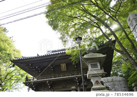 高尾山薬王院 山門(四天王門) 高尾山薬王院 山門(四天王門) 78534696