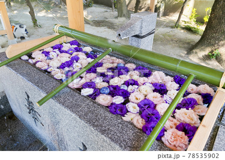 現人神社 現人神社 78535902