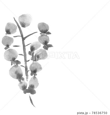 花のイラスト 藤 のイラスト素材