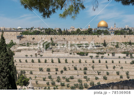 The old city walls of Jerusalem, Israel 78536908