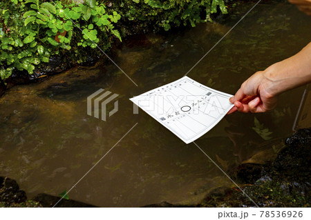 貴船神社の水占い(京都府京都市左京区) 貴船神社の水占い(京都府京都市左京区) 78536926