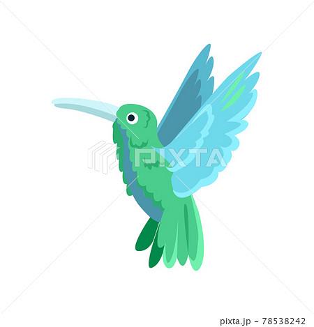 Colibri Flat Icon Colored Vector Element From のイラスト素材