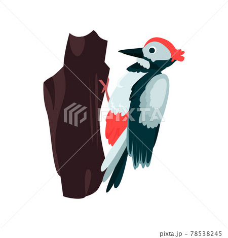 Woodpecker Flat Icon Colored Vector Element のイラスト素材