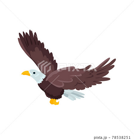 Eagle Flat Icon Colored Vector Element From のイラスト素材