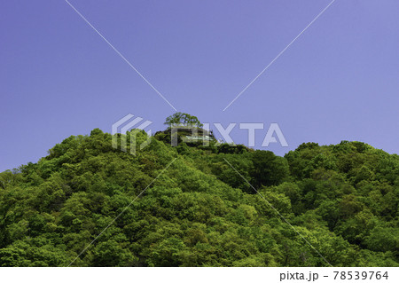 平福 利神城跡 兵庫県佐用郡佐用町 平福 利神城跡 兵庫県佐用郡佐用町 78539764