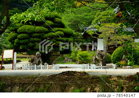 2体の石像 78540147