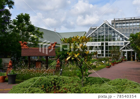 ガーデニング　初夏の温室 78540354