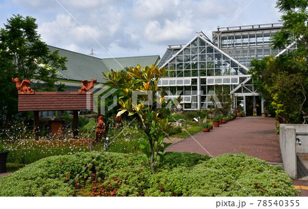 ガーデニング　初夏の温室 78540355