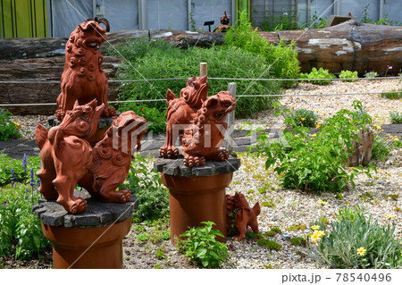 ガーデニング　初夏の温室 78540496